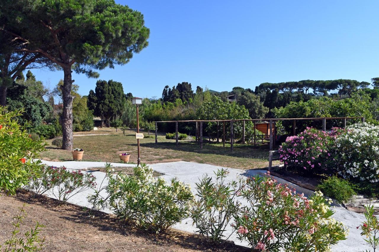 Bed and Breakfast Le Rondini Mont-ras  Exterior foto